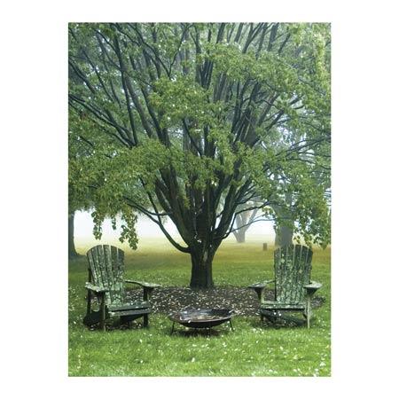- TR18028 Moss Chairs -