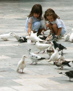 Left: Young girls feed the birds in the village square in Ermoupoli, Syros.