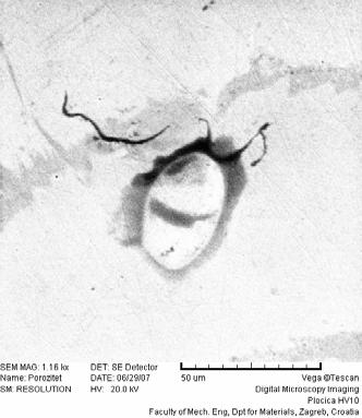 5. EKSPERIMENTALNA ISTRAŽIVANJA Tijekom pregledavanja ispitne površine etalonske pločice IN60115G scanning elektronskim mikroskopom uočene su nepravilnosti (oštećenja) kao što je prikazano na slici 5.