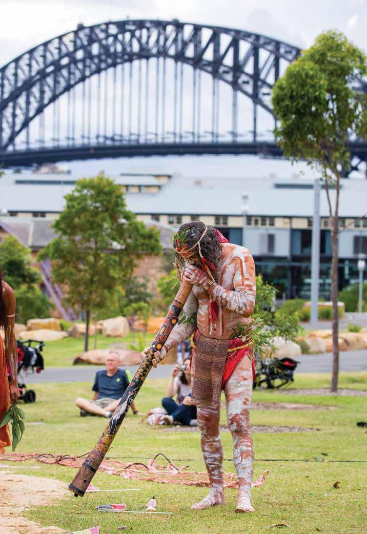 FOREWORD Destination NSW s initial Aboriginal Tourism Action Plan, released in 2013, has seen Destination NSW develop a close working relationship with NSW Aboriginal cultural tourism operators and