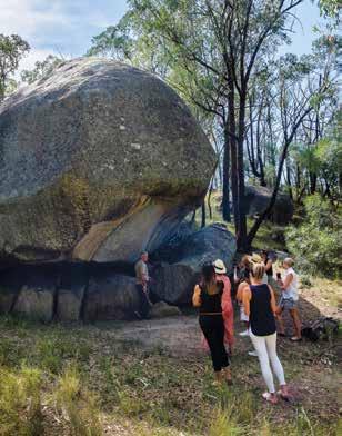 Domestic Visitors In NSW, the outlook for domestic visitor interest in Aboriginal tourism is promising.