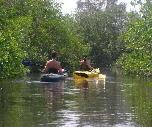 Lake Seminole Boat Ramp 27.50.680' 082.46.671' 26. Joe's Creek Landing/ Take-Out 27.50.031' 082.44.822' Joe's Creek Entrance 27.50.228' 082.