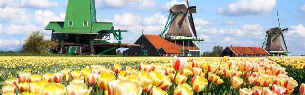 MAY DUTCH WINDMILLS & TULIPS A colourful Breakaway to Holland s Keukenhof Gardens 1,175 WINDMILLS, WATERWAYS & TULIPS Based at our comfortable hotel on the Dutch Island