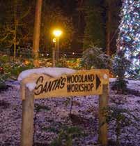 As well as our winter-themed activities, Center Parcs offers a great range of activities and things to do for everyone in the day time and in the evening.