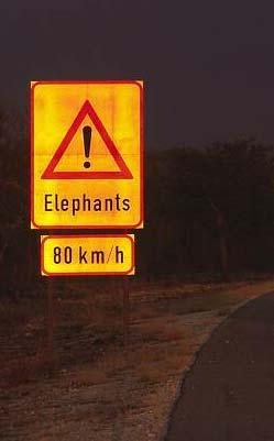 Managing Kruger s Elephants: the Metapopulation Metaphor Rudi van Aarde, Sam Ferreira, Tim Jackson & Adrian Shrader