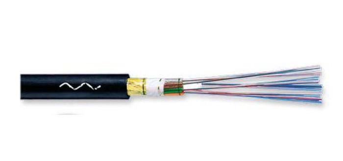 Za računalniška omrežja najpogosteje uporabljamo tri tipe omrežnih kablov: koaksialni