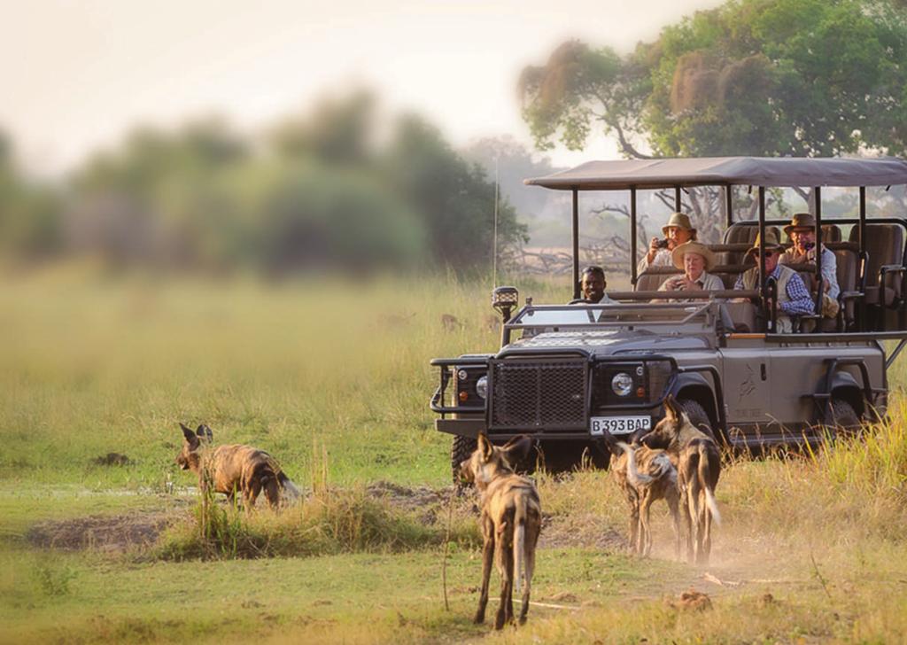 What we offer Go almost anywhere in Botswana and experience the ultimate combo of nature, wildlife, culture, adventure