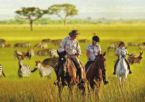 Horse-back Safaris Explore Botswana 360 offers travelers something a little