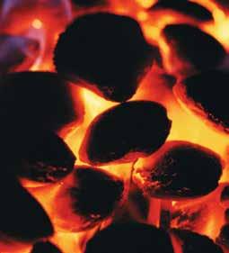 Never use fuel that is wet or unsuitable for the appliance and don t overfill the firebox.