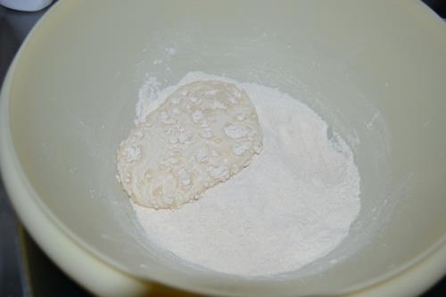 6 2.3 Kvarjenje kruha Kruh se kvari zaradi okuženosti z bakterijami, plesnimi in kvasovkami.