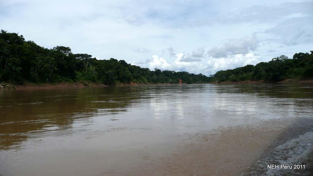 The next 4 days & 3 nights were spent in the rainforest at Refugio Amazonas.