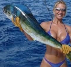 Sea Fishing Costa Rica offers some of