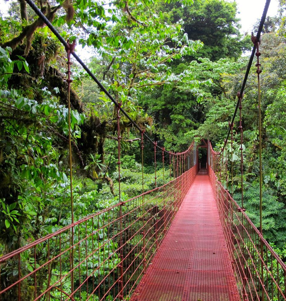 Monteverde Cloud Forest Embark on an enchanted treetop walkway