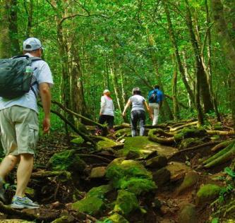 streams while you hike for 2 hours through exciting trails looking at some of the most