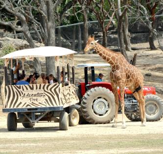 Africa Safari Adventure Park Located only 15 kilometres away