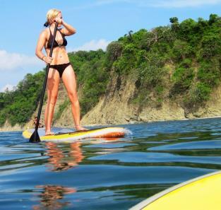 paddle board surfing.