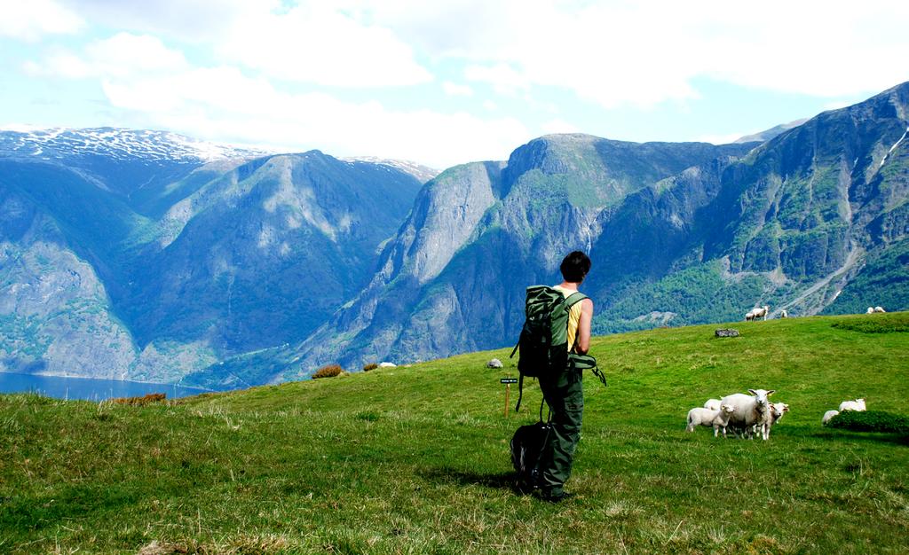 19 HIKING AND SLOW ADVENTURE 1-DAY WALKING TOURS 1-DAY EXPERIENCE THE NÆRØYFJORD BOAT AND WALKING TOUR 1-DAY EXPERIENCE - LOCAL FOOD TRADITIONS 2-DAY EXPERIENCE AT LÆRDAL 3-DAY TRIP:ECO TOUR AROUND