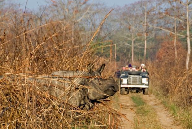 We hope to arrive at the Chitwan Tiger Reserve by mid-afternoon where we will transfer to the Tigerland Jungle Lodge, which has simple but comfortable rooms with en suite facilities.