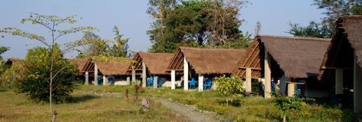 Tour Itinerary Tigerland Jungle Lodge Koshi Camp Days 6 8 Wednesday Friday Koshi Tappu Wildlife Reserve Today we will have a long journey on the East-West Highway from Chitwan to the Koshi Tappu