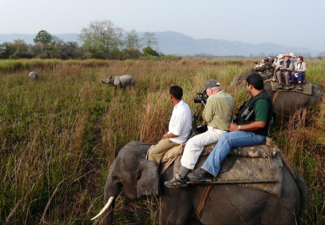 Tour Itinerary was not until 1954 that the Indian One-horned Rhinoceros was given complete statutory protection, allowing Kaziranga to become the most important, and one of the last remaining,