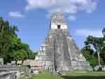 explore Tikal,
