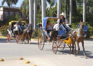 Cienfuegos Tours Panoramic City Tour in Horse Carriage Climb aboard a charming horse carriage to explore Cienfuegos most popular attractions.
