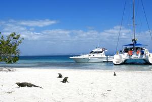 Cay Blanco Take a boat at Marina Marlin on Playa Ancon and sail towards Cayo Blanco. Explore the beautiful coral reef. Enjoy drinks and a Sailor s Lunch on the Key.
