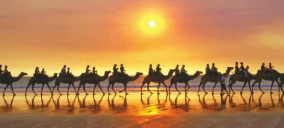 Scenic FreeChoice Inclusions Cable Beach camel ride, Broome; Territory Wildlife Park, Darwin; Swan River cruise to Fremantle We offer you the freedom to personalise your touring experience with our