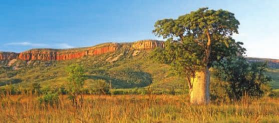 THE KIMBERLEY AND WEST COAST Cockburn Range /2 Day Top End & Kimberley Spectacular Day Darwin You will be met on arrival at Darwin airport and transferred to your hotel.