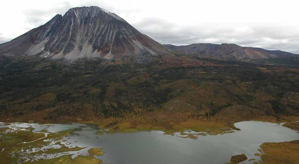 COMPARISON OF THE OPTIONS Area (square km) % of Greater Nahanni Ecosystem % of Dehcho Portion of Greater Nahanni Ecosystem Boundary Option 1 30,837 77 93 Boundary Option 2 29,295 74 89 Boundary