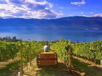 Day 5 Airport, Resort & Winery - The Kelowna Airport plays an integral part in the tourism business of our city.
