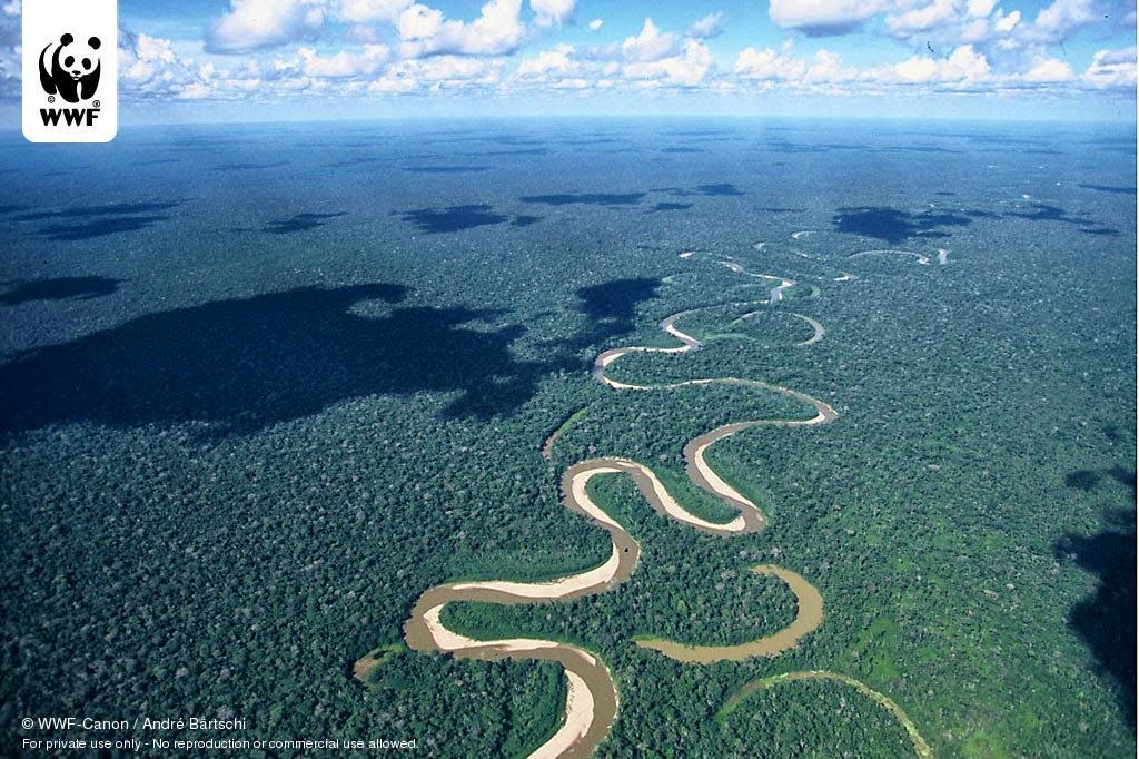 The Amazon Length: 4,000 miles