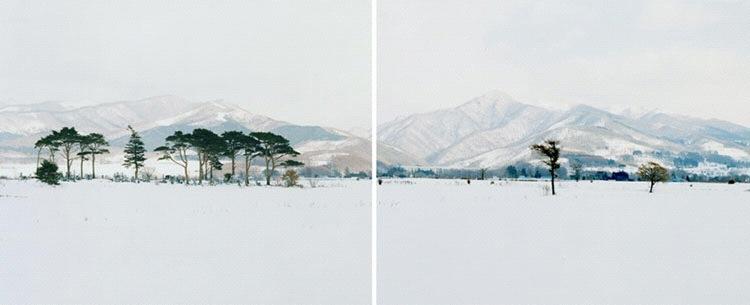 Robert Voit, Snowflakes, Hokkaido, Japan