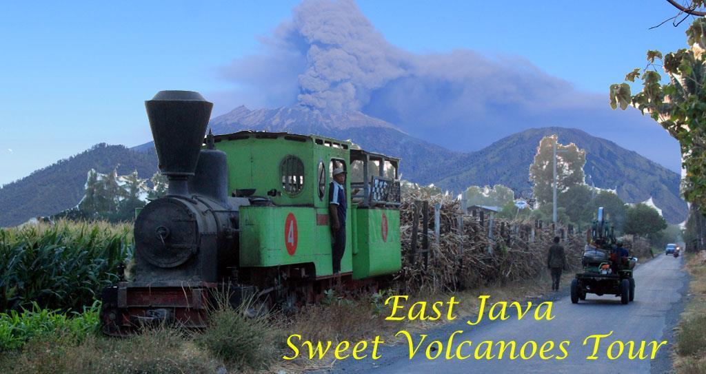 EAST JAVA NEW YEAR EVE SWEET VOLCANOES TOUR In this tour, participants can enjoy the beautiful scenery of East Java volcanoes, as well as enjoying the rich heritage of East Java s sugar industry.