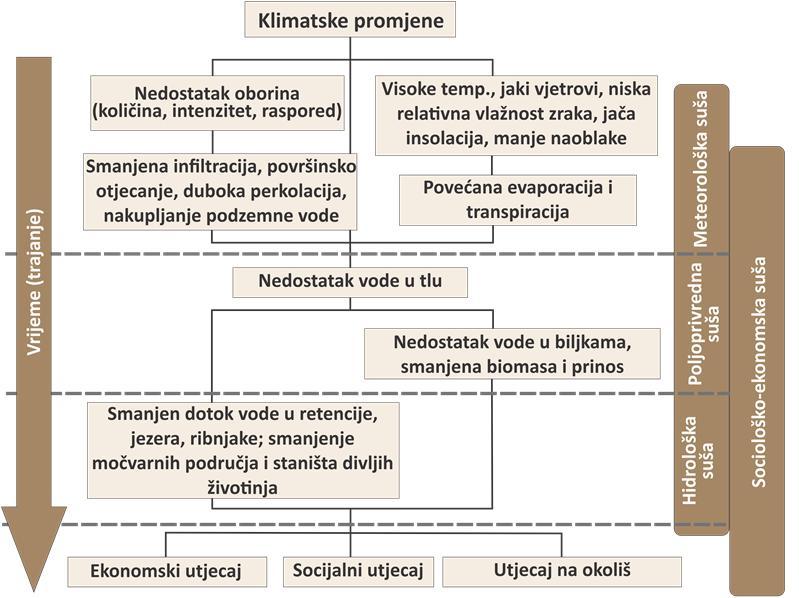 Vukadinović, Jug i Đurđević 179 prosjeku 5-10 puta) od navedene količine zadržane vode samo humusom.
