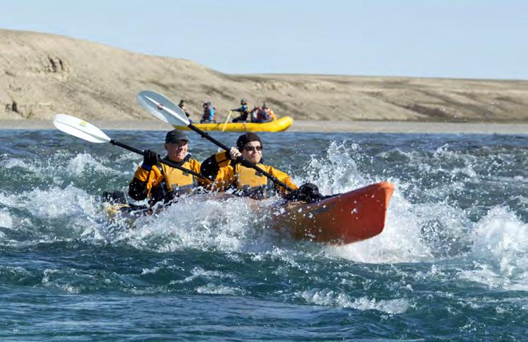 KAYAKING Led by experienced kayak guides, guests will paddle among icebergs, on the watch for beluga whales as well as ring and bearded seals.