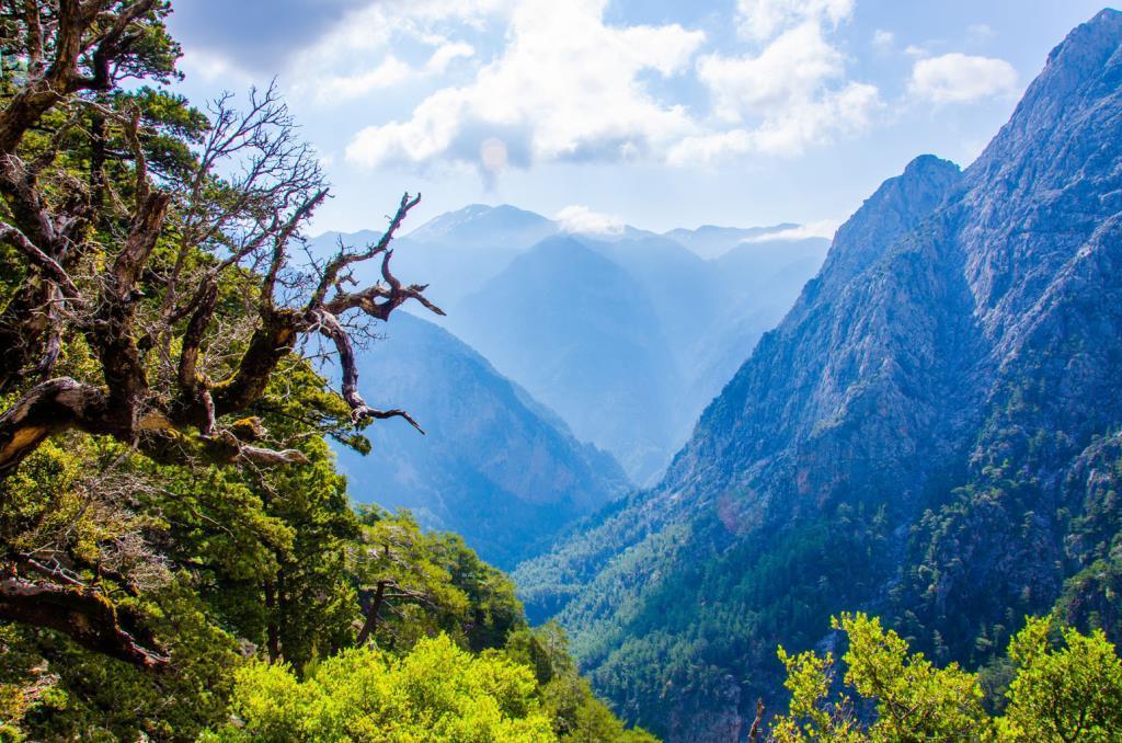 explore the beauty of mountainous landscape of Crete and its flora. With us you can hike in the most notable gorge in Crete the Samaria Gorge, which is the second longest in Europe (16 kilometers).