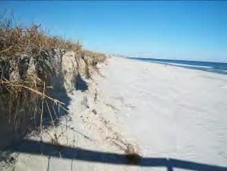 dunes at this location were observed to be shorter in width than those