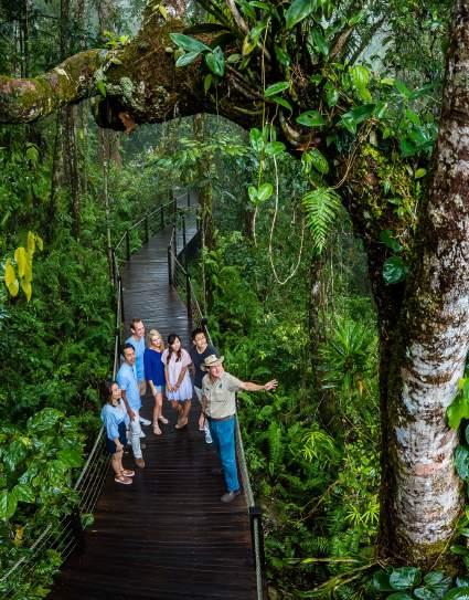 Day 2 Today your journey will take you over and through the world's oldest living rainforest as you glide just metres above the canopy in a glass-floor gondola.