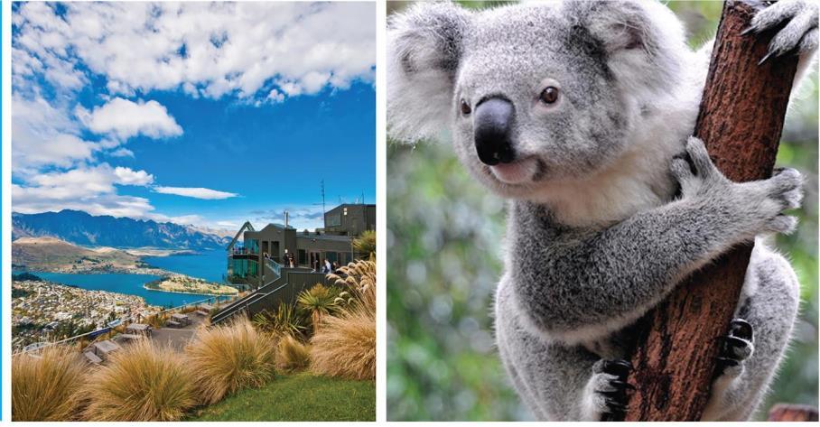 are Per Person and are subject to change, based on air inclusive package from DTW experience. Make new friends, learn about the customs of the Kiwis, and enjoy a home-cooked meal.