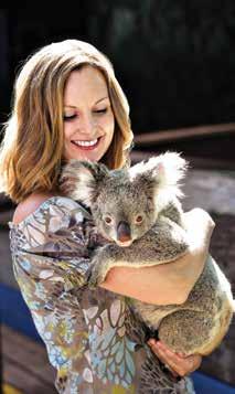 During your stay, you ll visit Currumbin Wildlife Sanctuary, an eco-minded facility home to koalas, lorikeets, kangaroos, crocodiles, wombats and other native Australian fauna (petting a kangaroo and