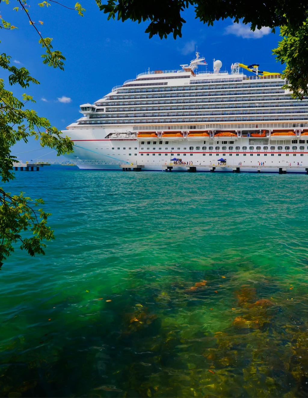 HOW PEOPLE PLAN THEIR VACATIONS Slightly more than half of the non-cruiser population is definitely or somewhat interested in taking an ocean cruise, which creates opportunities for growth in the