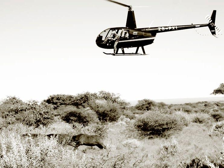 Game Capture SAFARI If accommodation is booked a