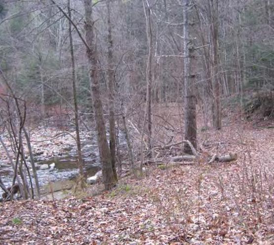 handicap-accessible site is part of the state s Hague Brook
