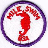 BSA BSA Stand Up Paddleboarding Class Period 1 2 3 4 5 6 Lifesaving (Advanced) Physical strength and endurance required. Mile Swim (Advanced) This BSA award recognizes advanced swimmers.