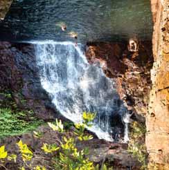 1 DAY LITCHFIELD TOP END SAFARI TOUR CODE: WT01 LITCHFIELD NATIONAL PARK TERMITE MOUNDS FLORENCE FALLS WANGI FALLS BULEY ROCKHOLE PRICE: $99 (Adult/Child 5-15 years) DAILY Darwin: 7.