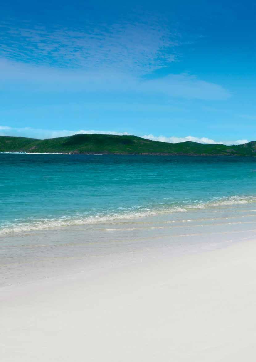 WHITSUNDAY S & WHITEHAVEN BEACH HALF DAY CRUISES GREAT FOR FAMILIES Explore the more remote beautiful bays, islands and beaches and