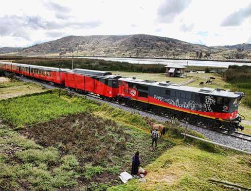 Pre-cruise Extension A Train Journey along the Trans-Andean Railway 13th to 18th October 2015 (Dates for 2016 not yet available, please register your interest at the time of booking) Our pre-cruise