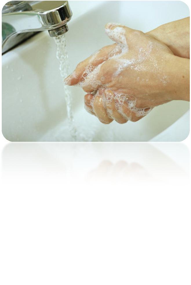 Hygiene Food and Pharmaceutical Manufacturing involves strict adherence to a number of hygiene requirements. Thorough washing of hands is critical.