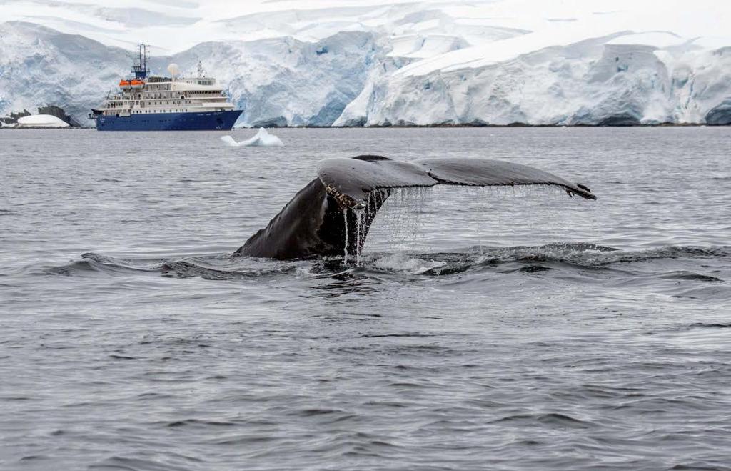 ACROSS THE ANTARCTIC CIRCLE VOYAGE TO THE 7TH CONTINENT January 22 February 4, 2018 14 Days Aboard the Island Sky Ushuaia ARGENTINA